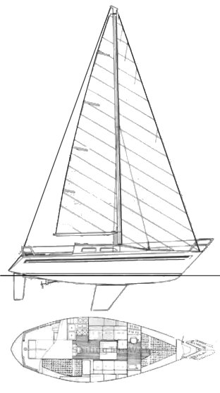 DULLIA 30 - Drawing