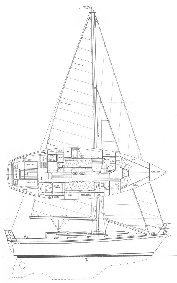 KAIULANI 34 - Drawing