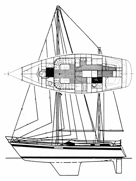 NORTH WIND 40 - Drawing