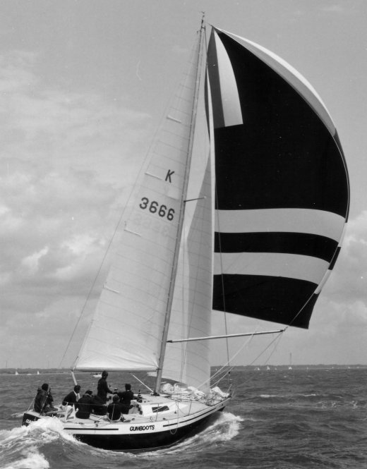 CONTESSA 35