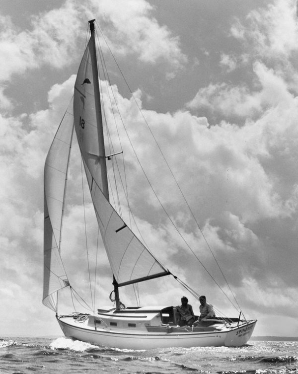 DOLPHIN 24 (S&S) - Photo