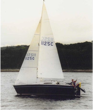 FOX TERRIER 22 - Photo