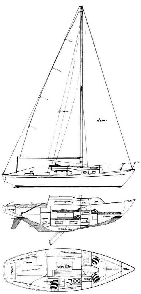 IRWIN 27 - Drawing