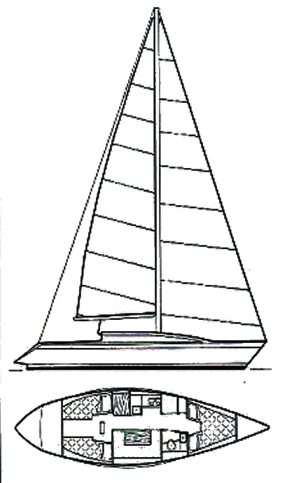 CANADOS 33 - Drawing