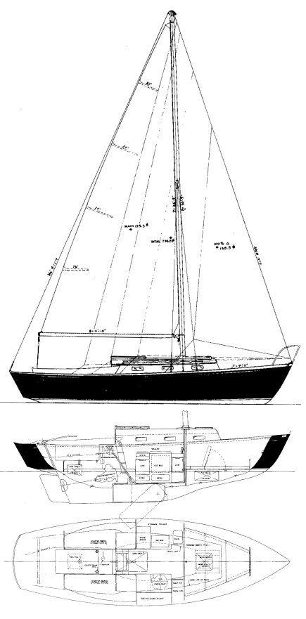 DOLPHIN 24 (S&S) - Drawing