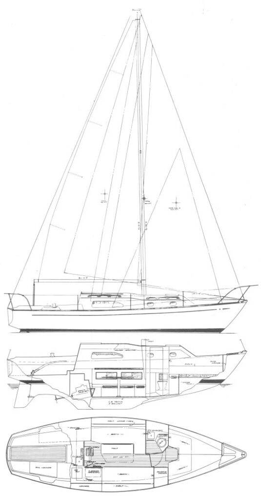 IRWIN 28 - Drawing