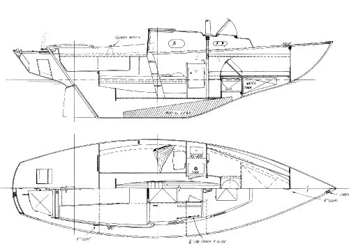 KITTIWAKE 23 - Drawing