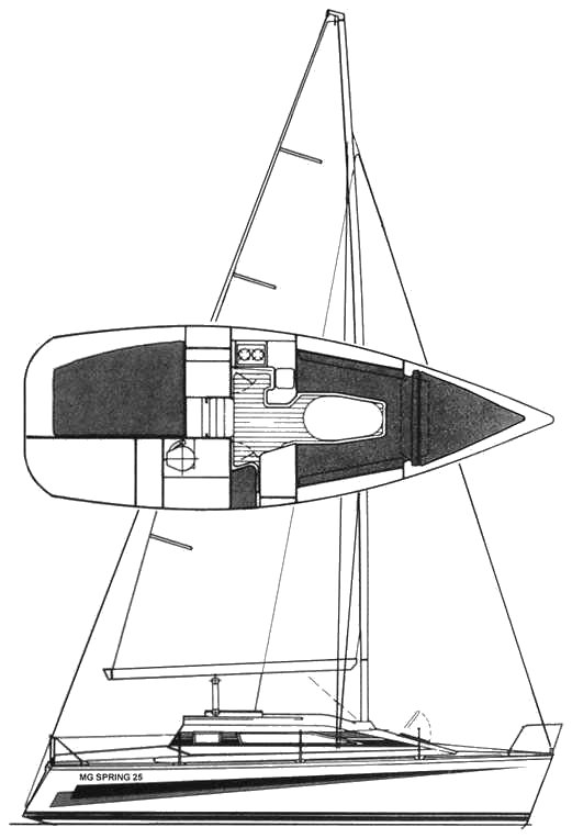 MG SPRING 25 - Drawing