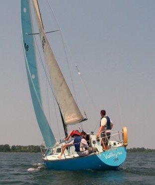 KIWI 24 - Photo
