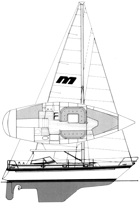 MALO 34 - Drawing