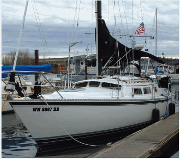NEWPORT 33 PH - Photo