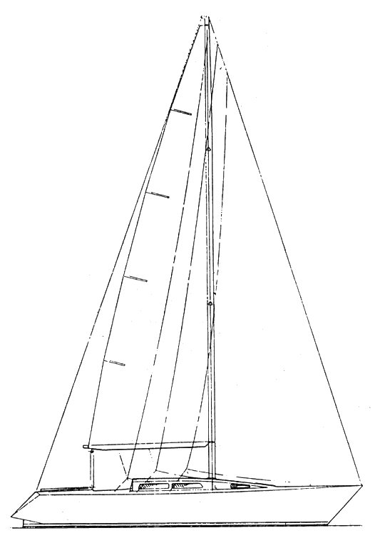 PETERSON 37 - Drawing