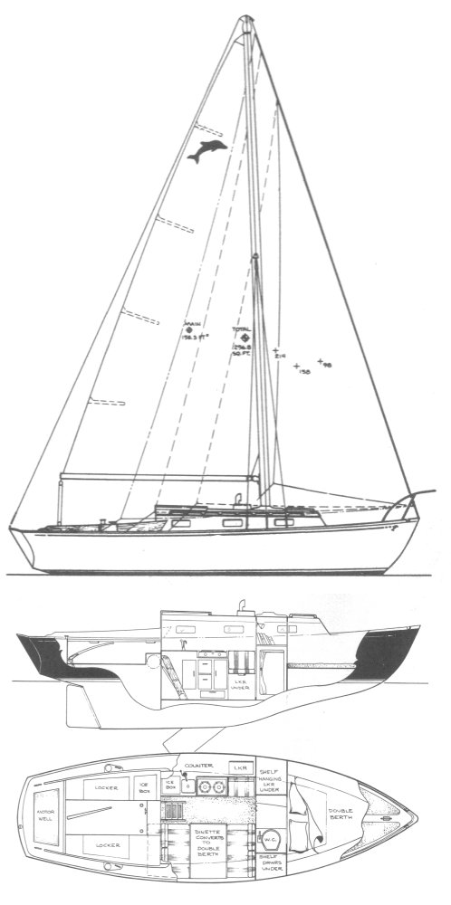 DOLPHIN 24 (YANKEE) - Drawing
