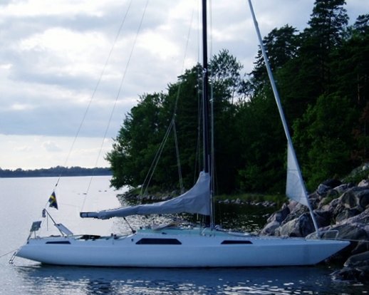 FLAMINGO 40 - Photo
