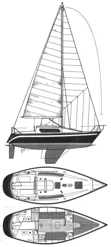 FURIA 26 - Drawing