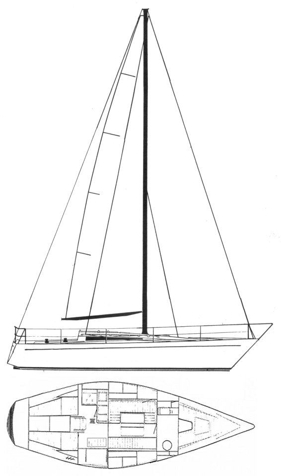 KALIK 33 - Drawing