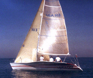 KIWI 35 - Photo
