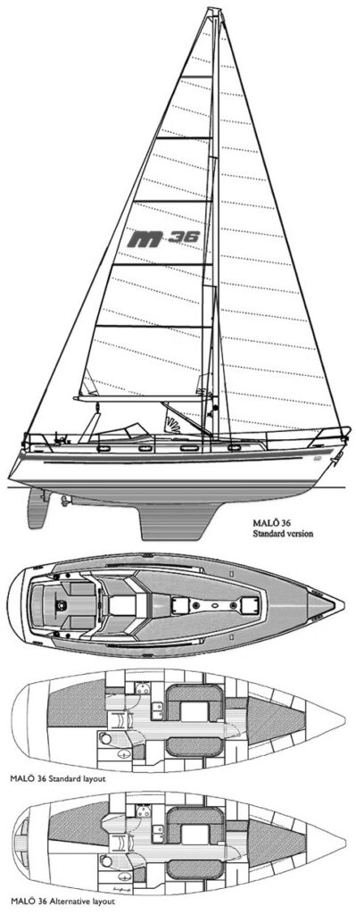MALO 36 - Drawing
