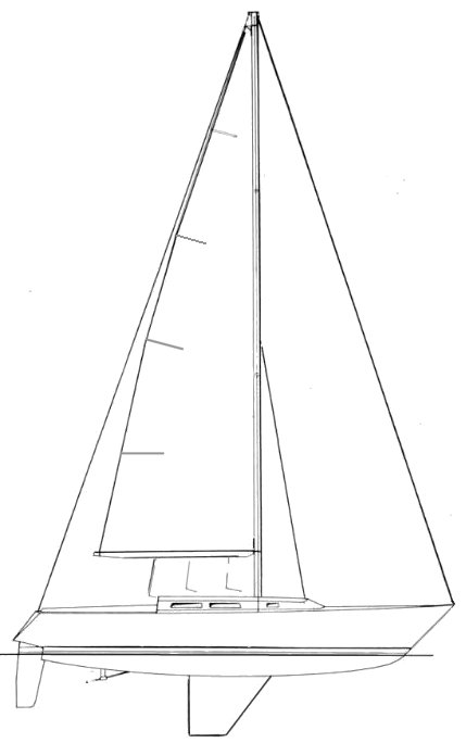 PETERSON 38 - Drawing