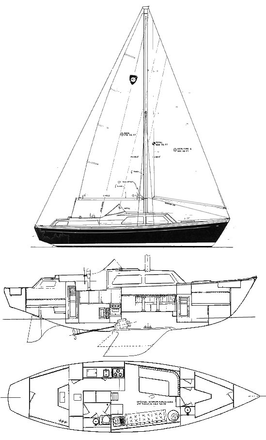 COLUMBIA 41 - Drawing