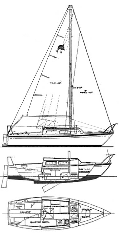 DOLPHIN 25 (HELMS) - Drawing