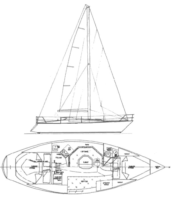 ENDEAVOUR 30 (AUS) - Drawing