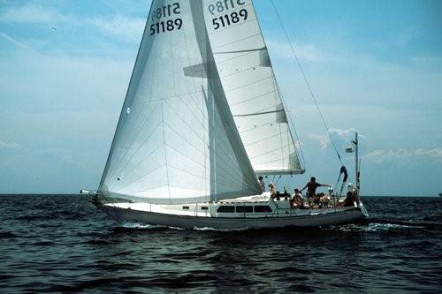 NEWPORT 41 Mk II - Photo