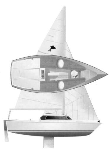 SAILFISH 18 - Drawing