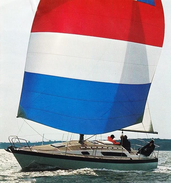 DOLPHIN 31 - Photo