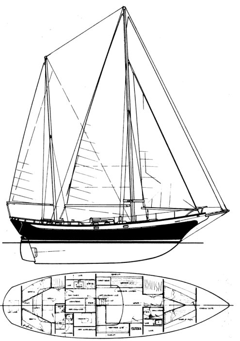 DURBECK 46 (D-46) - Drawing
