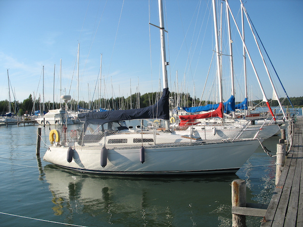 MP 31 - Photo