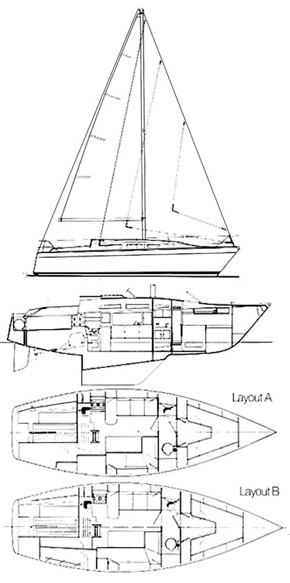 DOLPHIN 31 - Drawing