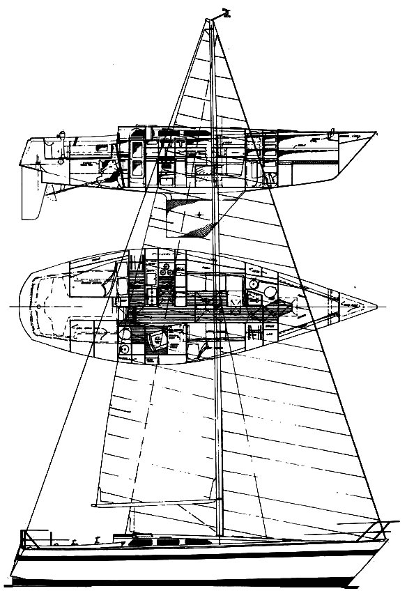 KALIK 40 - Drawing