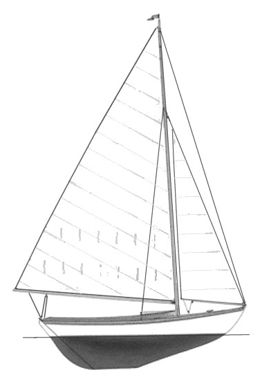 PETREL - Drawing