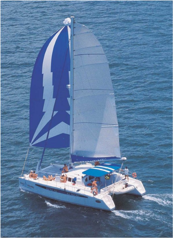 DOLPHIN 460 - Photo