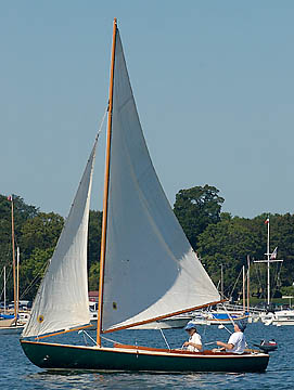 DUXBURY DUCK - Photo