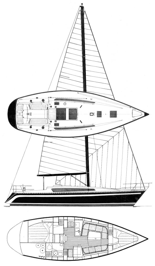 FURIA 37 - Drawing