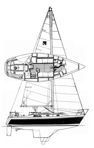 IRWIN 31 CITATION - Drawing