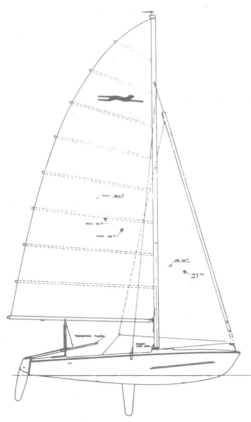 CHEETAH-CAT - Drawing