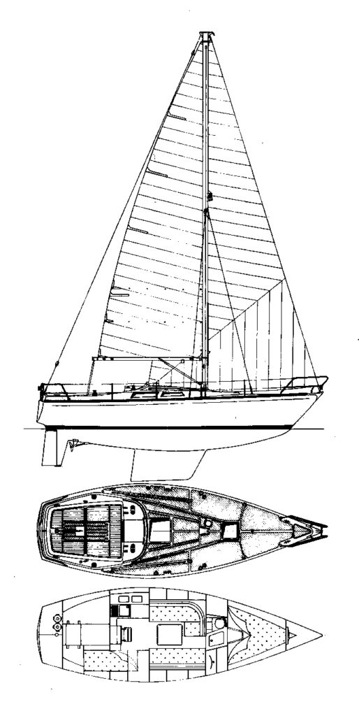 HORNET 32 - Drawing