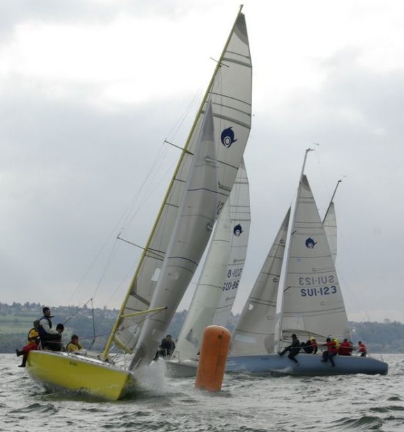 DOLPHIN 81 - Photo