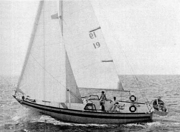 GULF 40 (GARDEN) - Photo