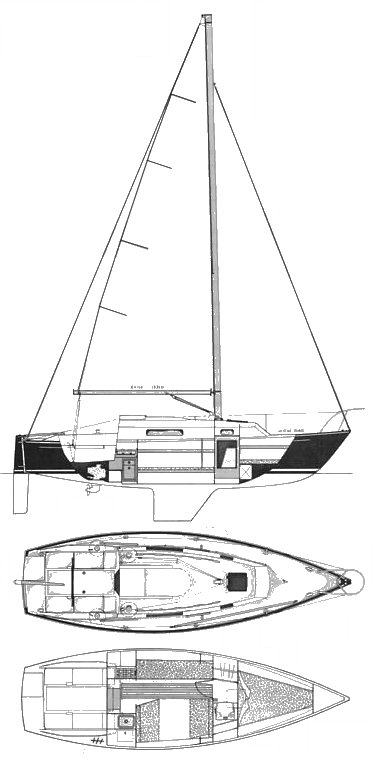 NIAGARA 26 - Drawing