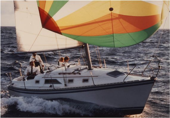 HUNTER 31 - Photo