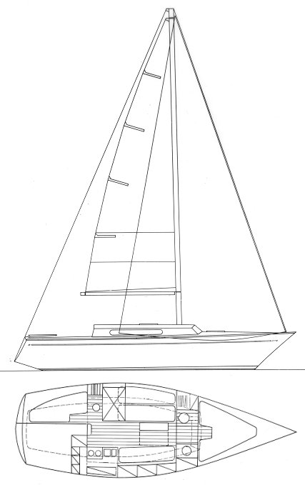FLEUR DE MER - Drawing