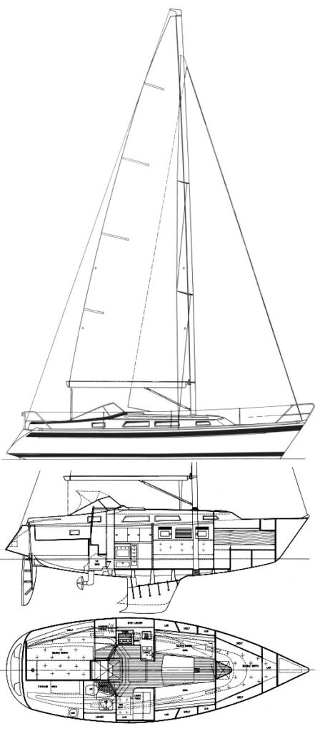 HALLBERG-RASSY 31 - Drawing