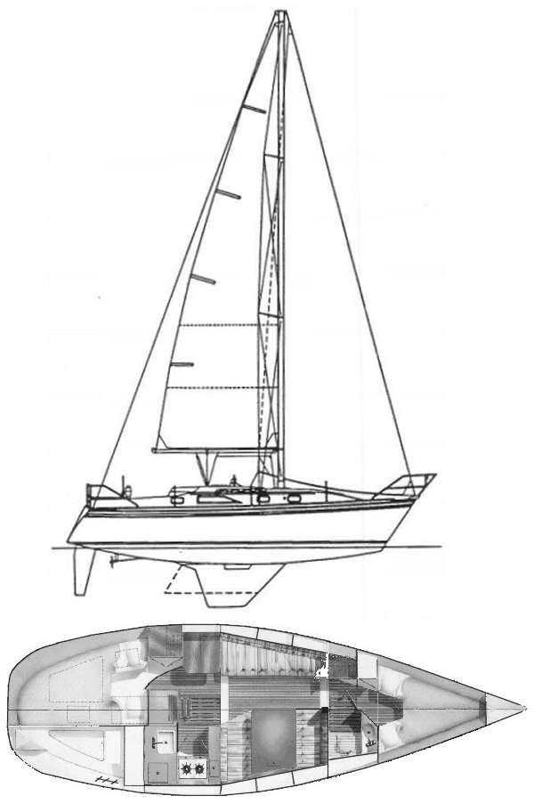 HUNTER 31 - Drawing