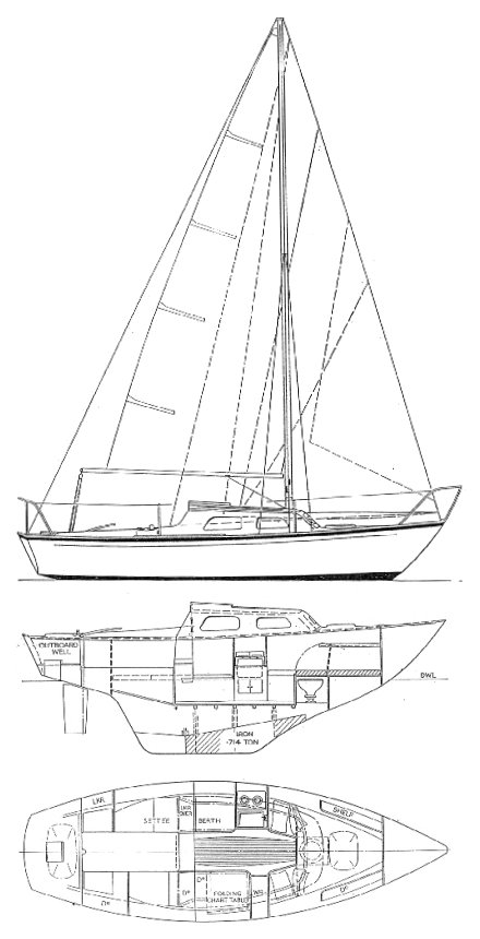HURLEY 22 - Drawing