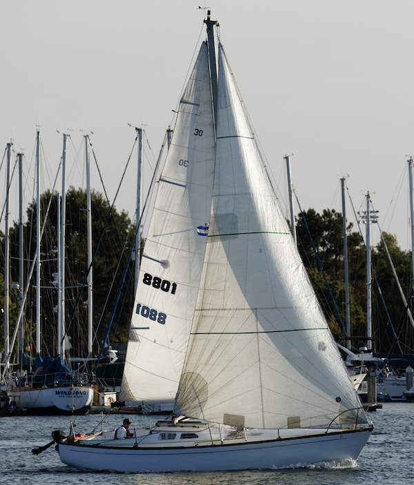 MULL 30 - Photo