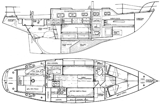 DOUGLAS 31/32 - Drawing